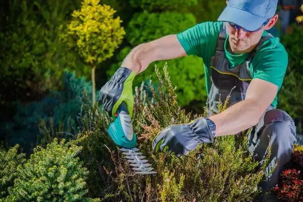 landscaping services Kentwood